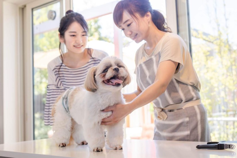 ペットマーケティングでペット飼い主へのダイレクトプロモーション
